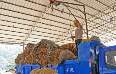 微型起重電動葫蘆解決了煙包裝車大難題